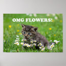 Search for love funny posters Humor