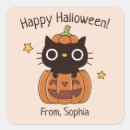 Search for black cat and pumpkin stickers Jack o lantern