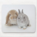 Search for lop mouse mats Togetherness