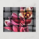 Search for weaving postcards Design