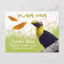 Search for toucans postcards Latin america