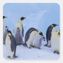 Search for emperor penguin stickers Snow