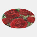 Search for red carnation stickers Nature