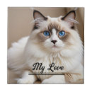 Search for pet photo tiles Pets