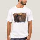 Search for arctos tshirts Bear
