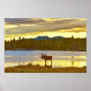 Search for moose posters Lake