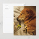 Search for dog sleeping postcards Puppy