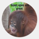 Search for smiling monkey stickers Animals
