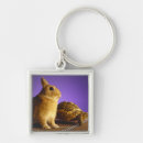 Search for topics key rings Animal