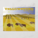 Search for yellowstone bison postcards Landscape