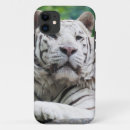 Search for white tigers iphone cases Photograph