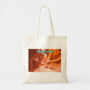 Search for antelopes accessories Desert