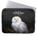 Search for birds of prey electronics Owl
