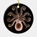 Search for creature christmas tree decorations Red