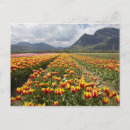 Search for british columbia postcards Field