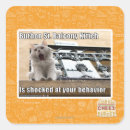 Search for balcony square stickers I can has cheezburger