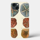 Search for sand dollar cases Shell