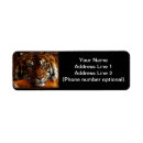Search for black cats return address labels Orange