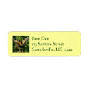 Search for tiger swallowtail return address labels Insect