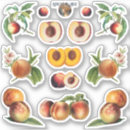 Search for peach state stickers Fruit