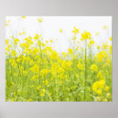 Search for vegetable posters Flower