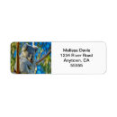 Search for koala bear return address labels Wildlife