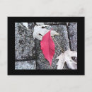 Search for red leaf postcards Plants
