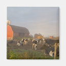 Search for midwest magnets Barn