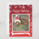 Search for long christmas cards Dog