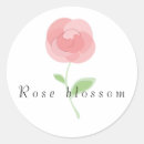 Search for vectors stickers Beauty