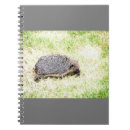 Search for conservation notebooks Wildlife