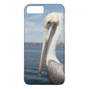 Search for pelicans iphone cases California