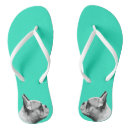 Search for french bulldog flipflops Cute