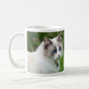 Search for ragdoll kitten mugs Cat