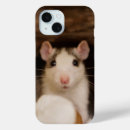 Search for rat iphone cases Rodent
