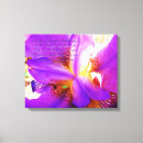 Search for verse photography Purple