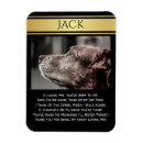 Search for memorial magnets In memory of