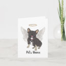Search for frenchies cards For pets