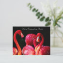 Search for merry christmas from florida postcards Pink