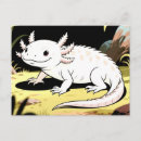 Search for axolotl postcards Amphibian