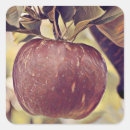 Search for red apple fruit stickers Autumn