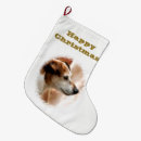 Search for jack russell christmas stockings Dogs