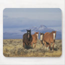 Search for wyoming mouse mats Herd