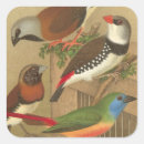 Search for perch stickers Avian