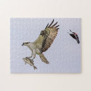 Search for blackbird puzzles Nature