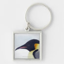 Search for cute penguins square key rings Outdoors