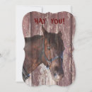 Search for funny horse cards Cowboy