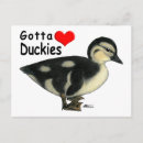 Search for ducky postcards Ducklings
