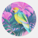 Search for parrots stickers Colourful