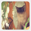 Search for siamese cat stickers Animal
